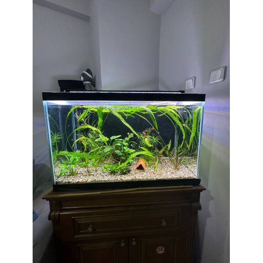 2 Sıra Led Armatür