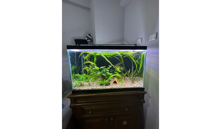 çok yakında hizmetinizde