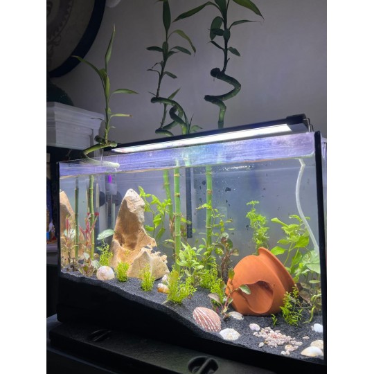 3 Sıra Led Armatür