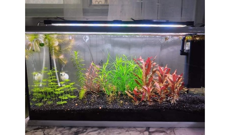 çok yakında hizmetinizde