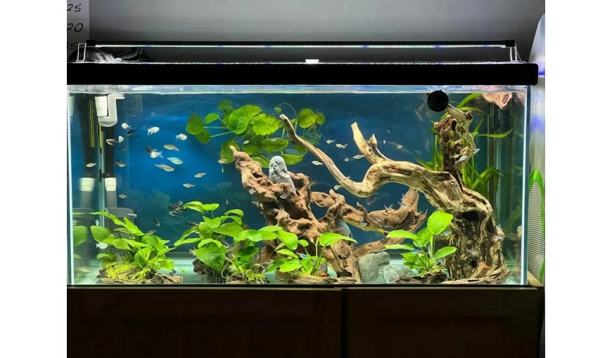 çok yakında hizmetinizde