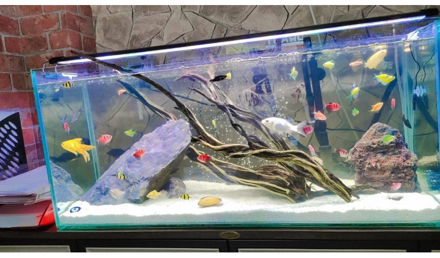 çok yakında hizmetinizde