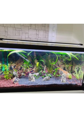 çok yakında hizmetinizde